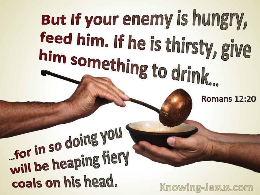 Romans If Your Enemy Is Hungry Feed Him Brown
